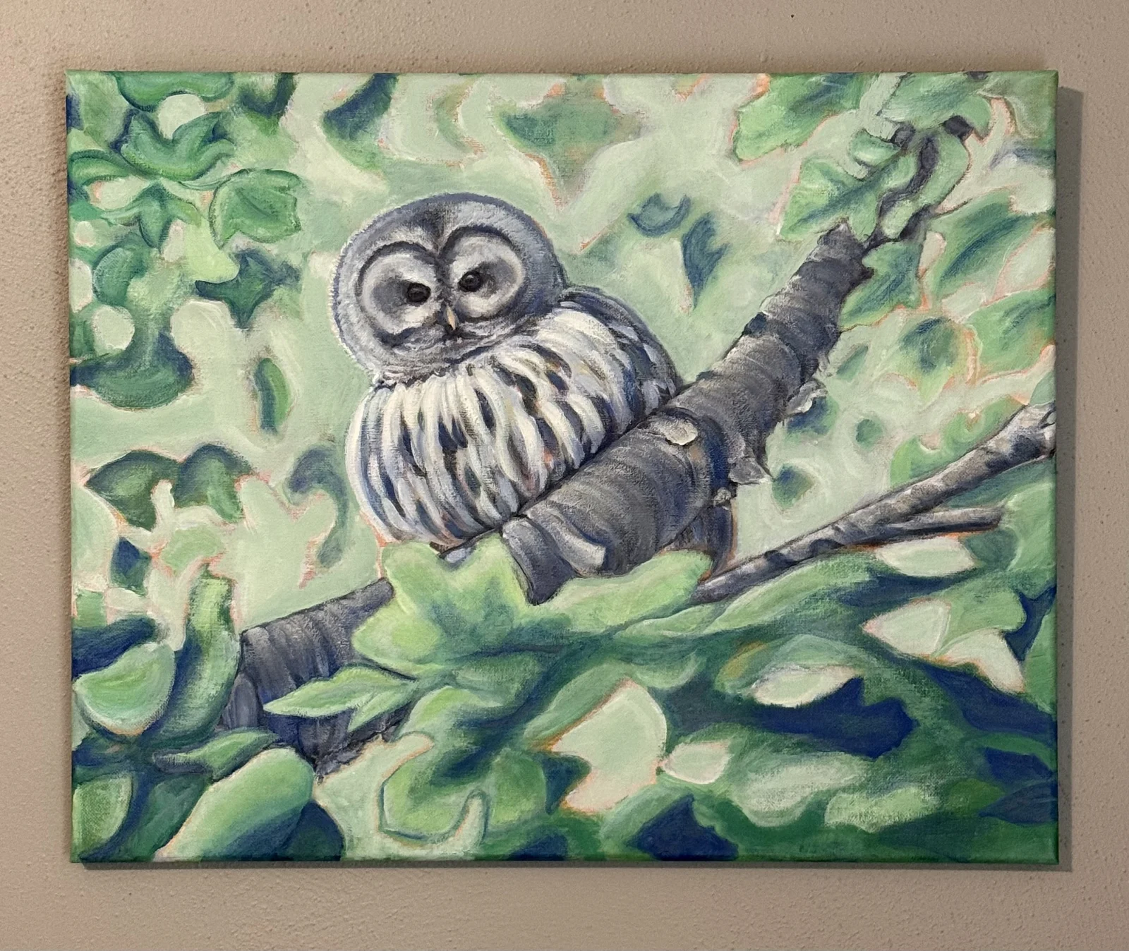 Barred Owl by Jacqueline Biang