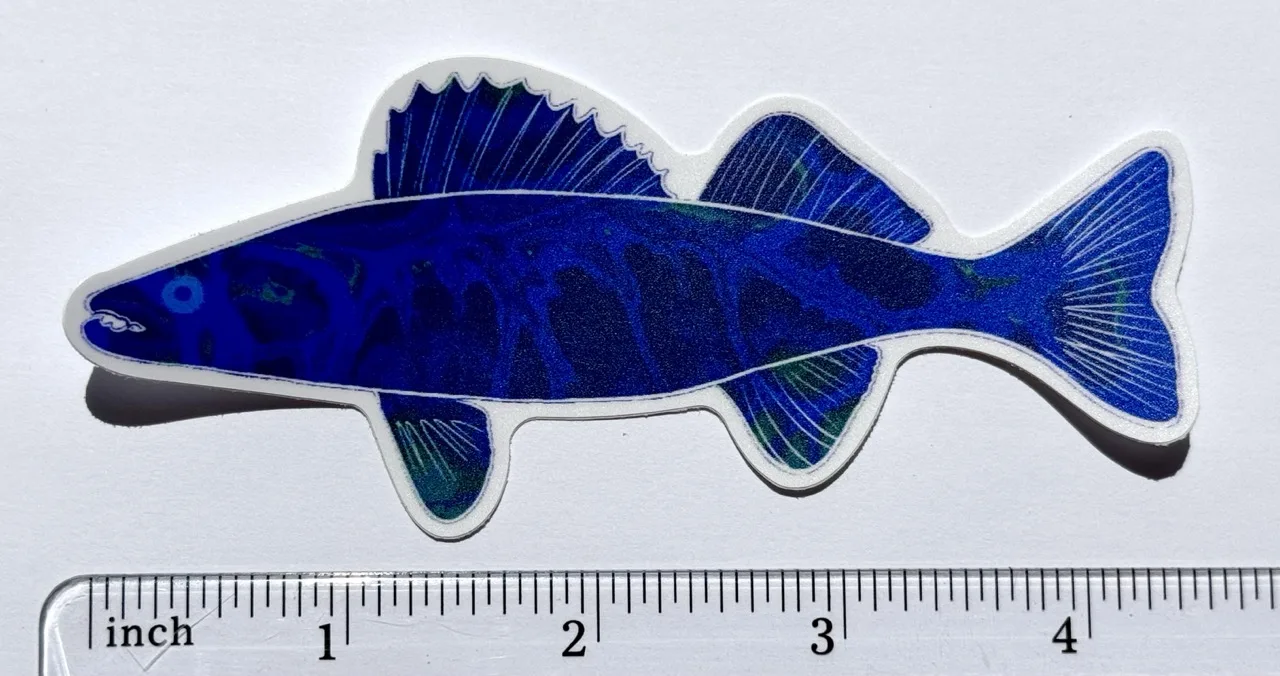 Dark Blue Walleye Sticker by Jacqueline Biang — photo 2 of 2