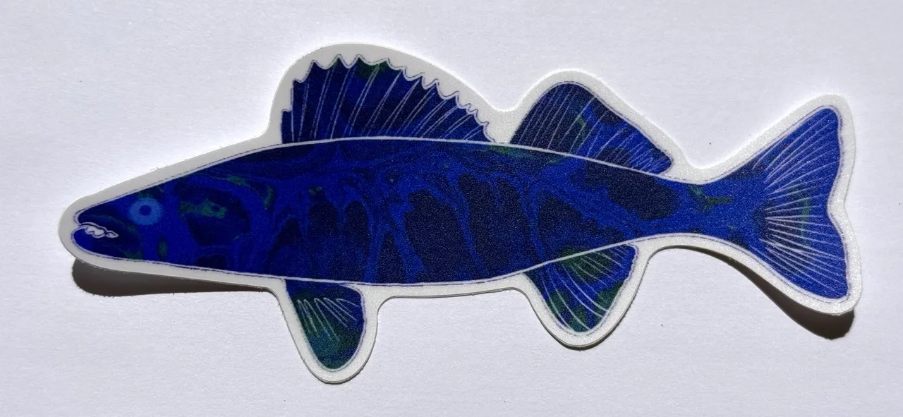 Dark Blue Walleye Sticker by Jacqueline Biang