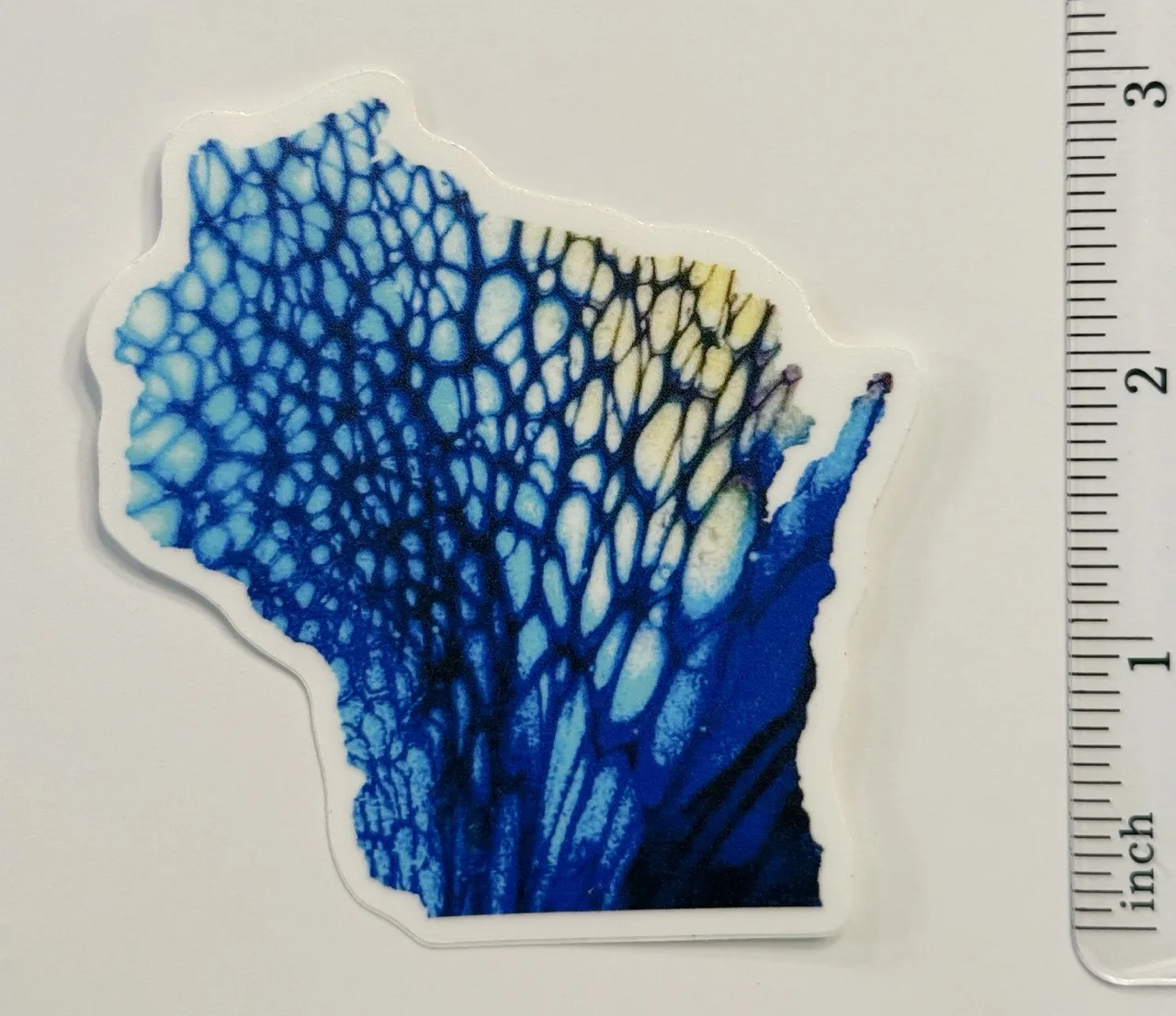 Blue Wisconsin Sticker by Jacqueline Biang — photo 2 of 2