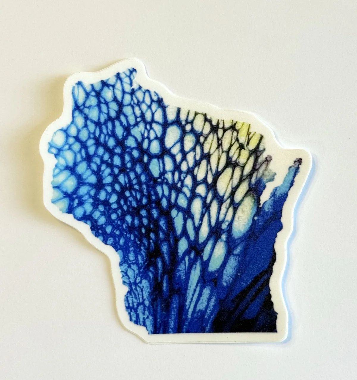 Blue Wisconsin Sticker by Jacqueline Biang