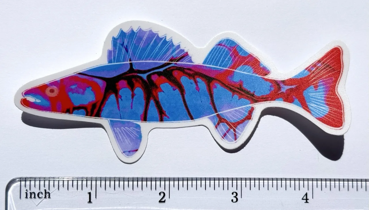 Electric Pink and Purple Walleye Sticker by Jacqueline Biang — photo 2 of 2