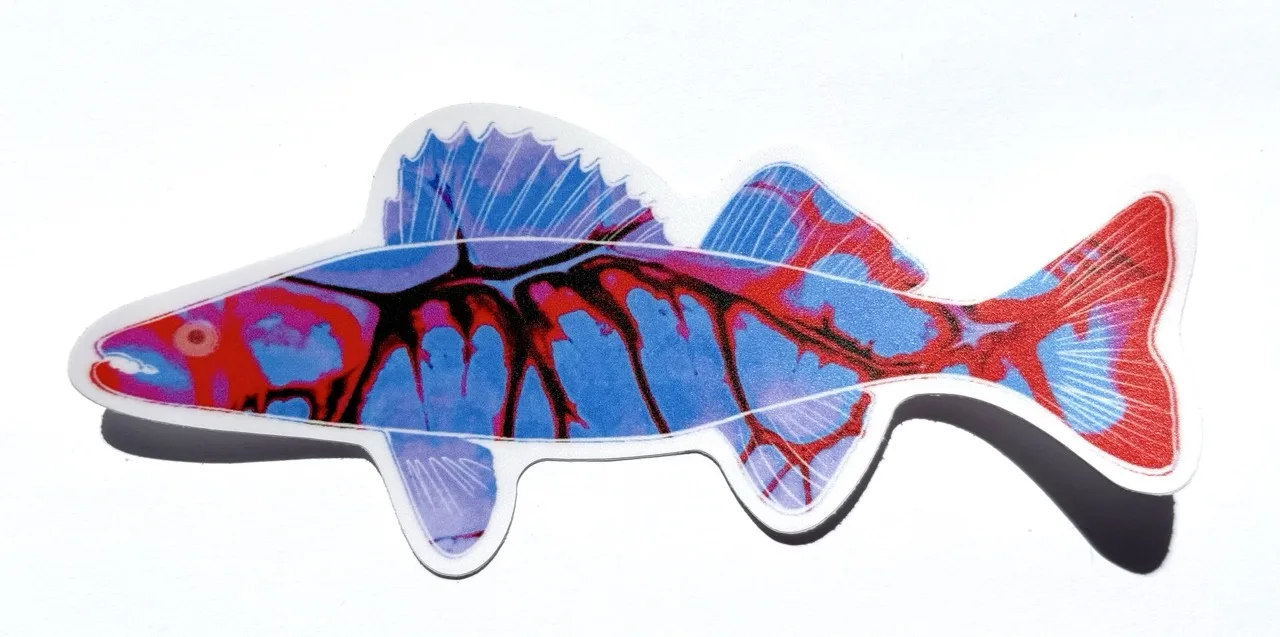 Electric Pink and Purple Walleye Sticker by Jacqueline Biang