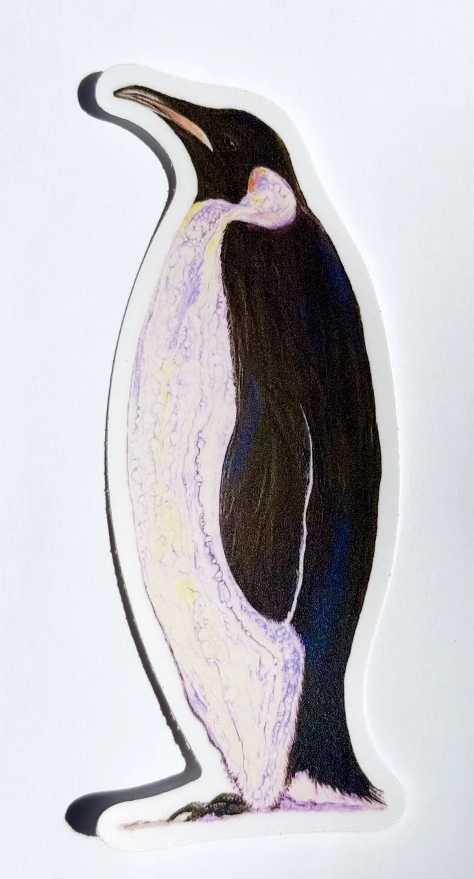 Penguin Facing Left Sticker by Jacqueline Biang