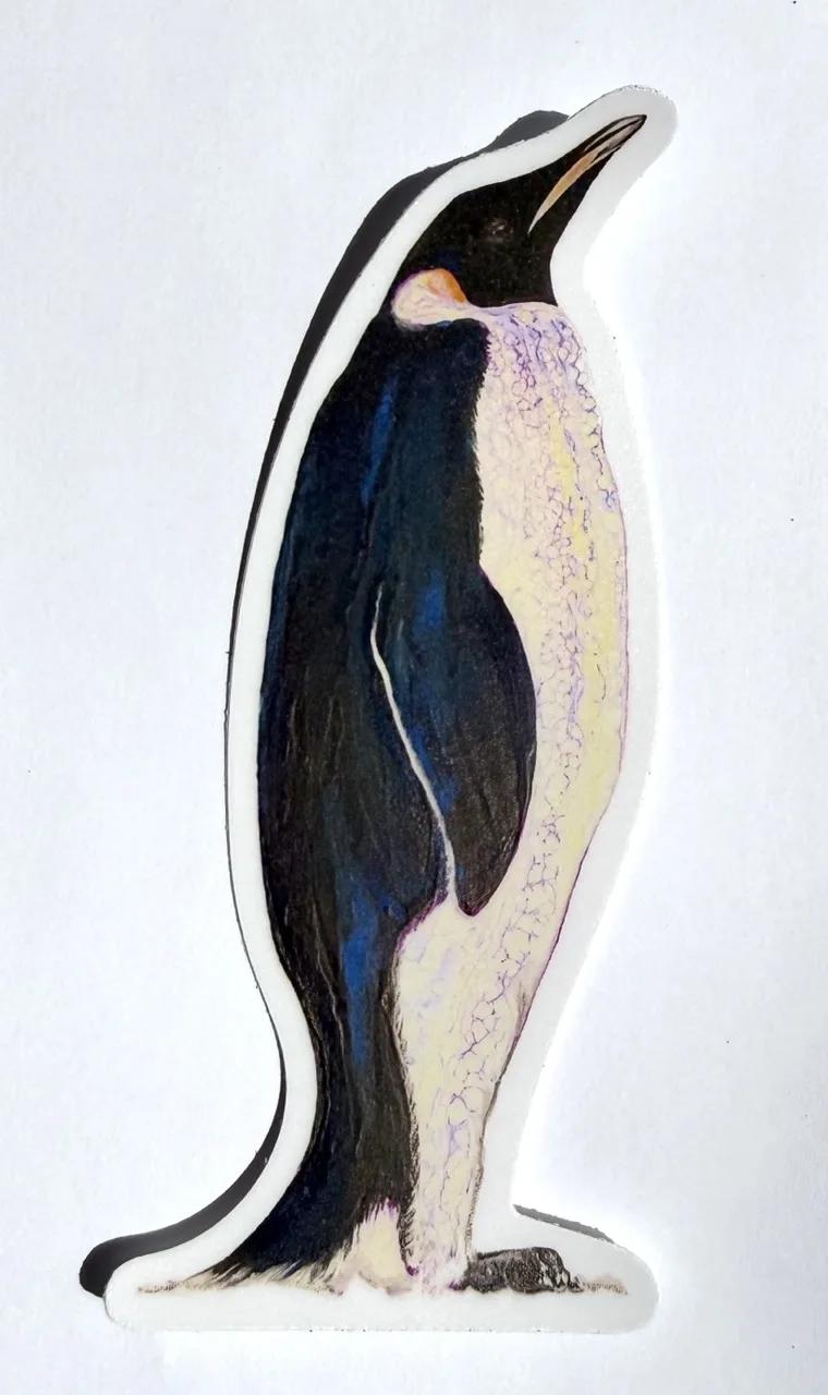 Penguin Facing Right Sticker by Jacqueline Biang