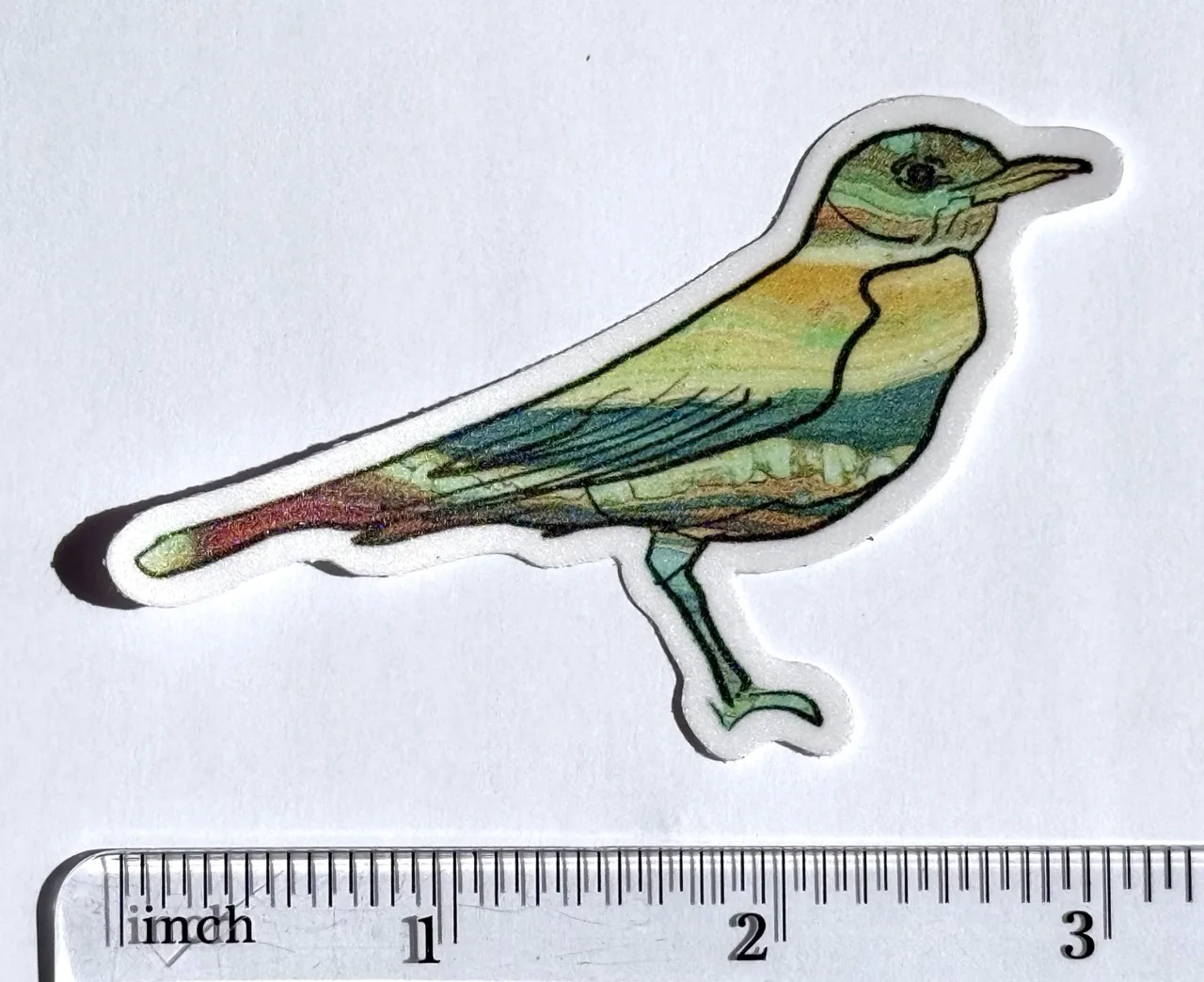 Robin Sticker by Jacqueline Biang — photo 2 of 2