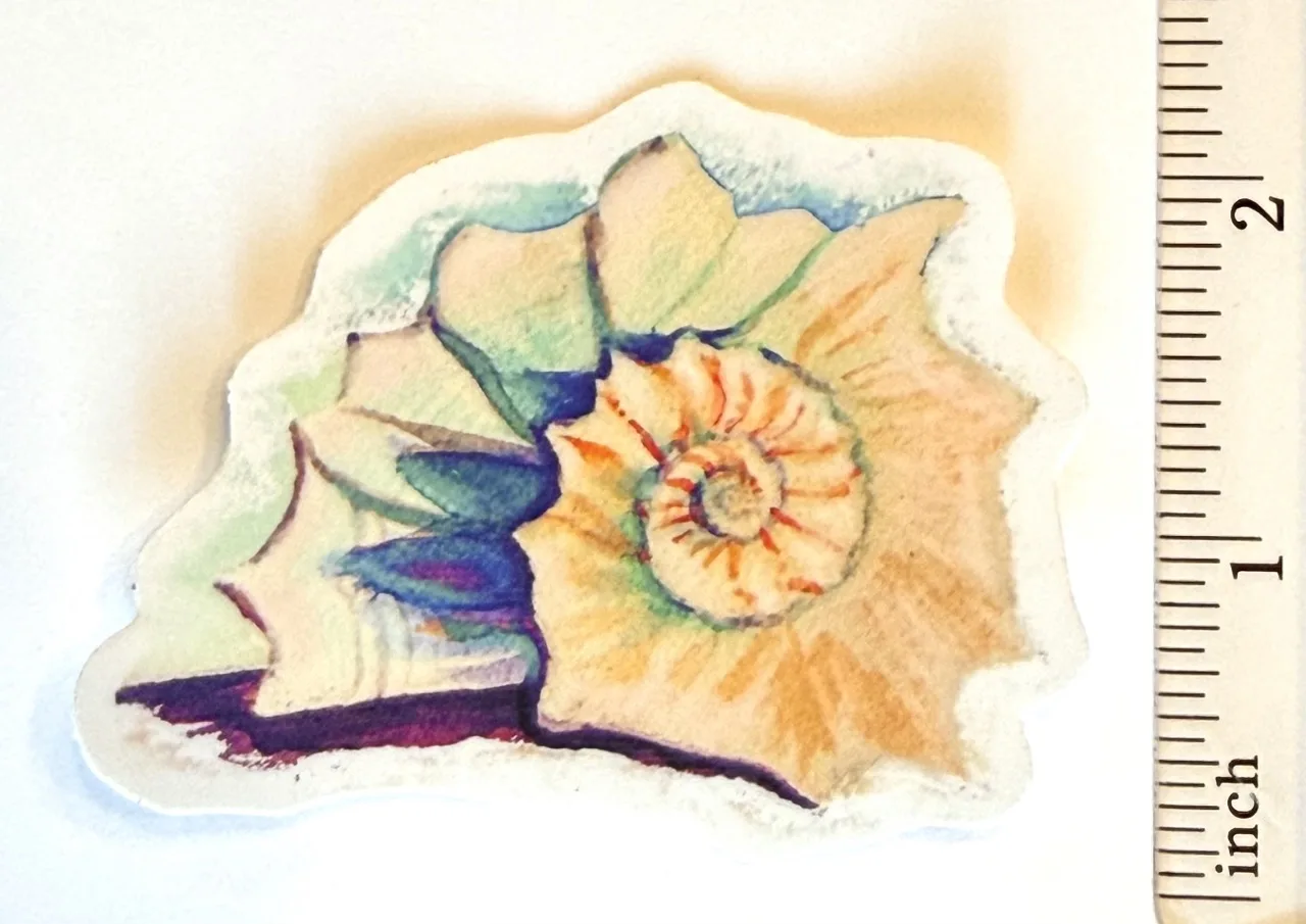 Watercolor Seashell Sticker by Jacqueline Biang — photo 2 of 2