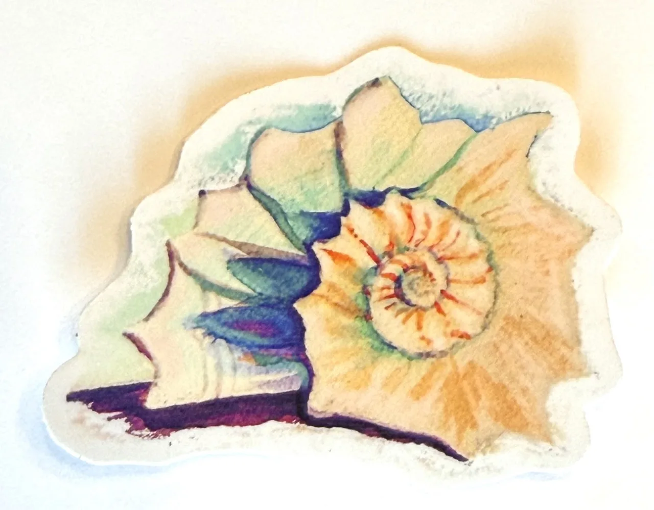 Watercolor Seashell Sticker by Jacqueline Biang