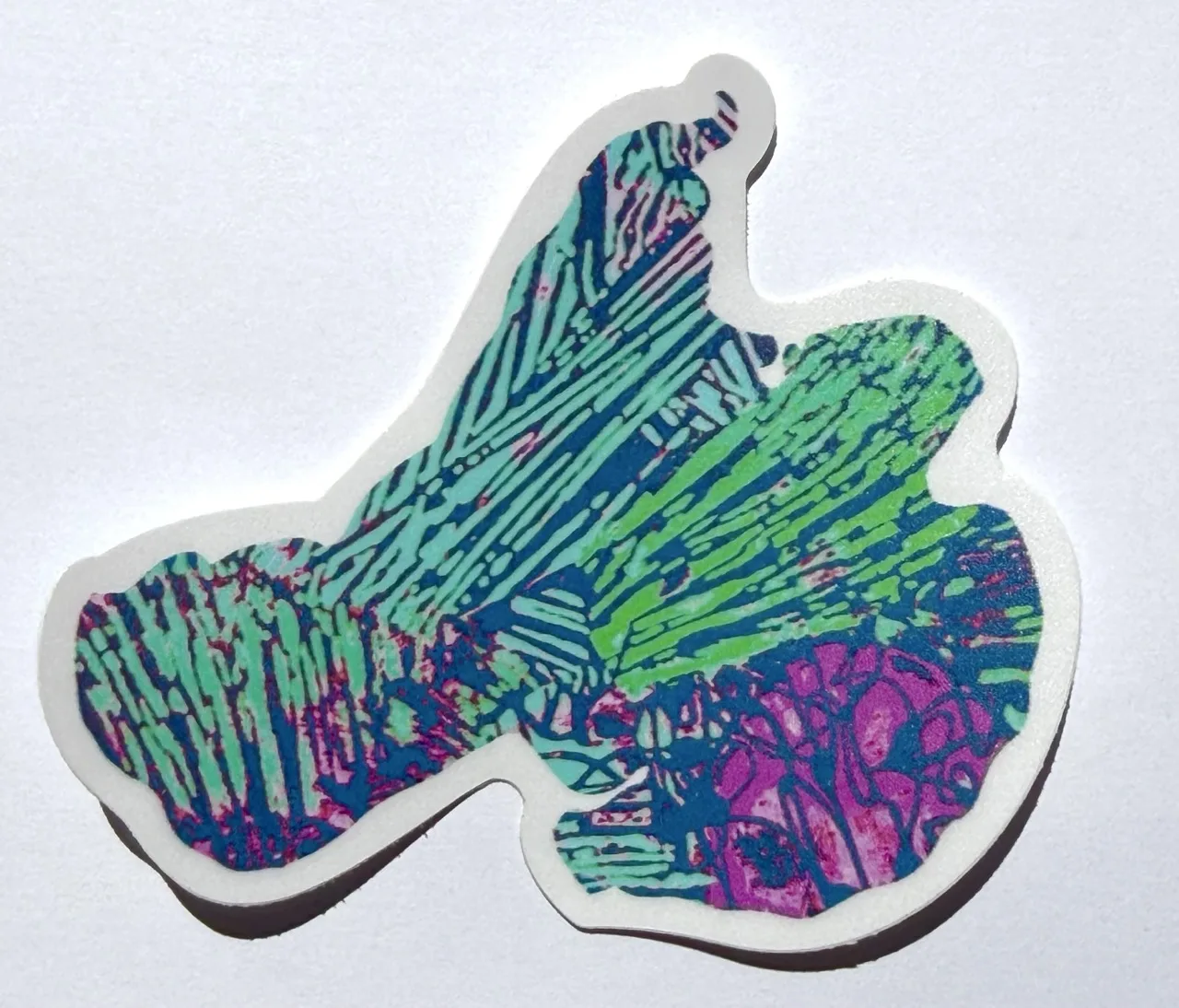 Teal Lake Mendota Sticker by Jacqueline Biang